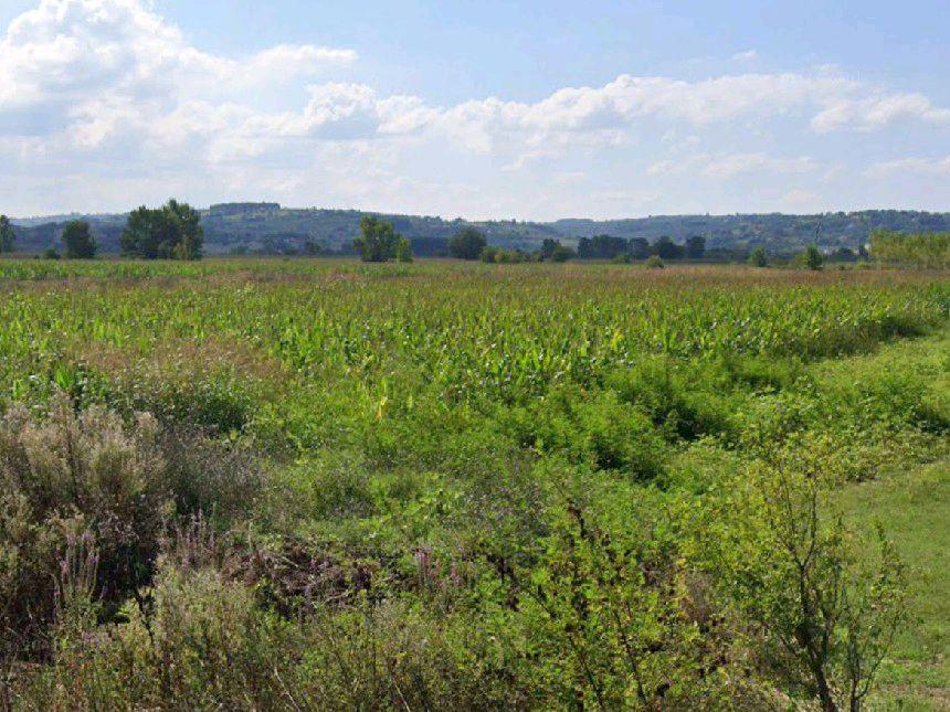 sell-land-turkey-sakarya-adapazari-xy-4716