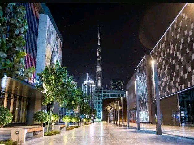 sell-flat-united-arab-emirates-uae-dubai-jumeirah-bc-5483